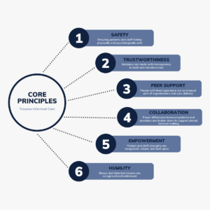 Understanding trauma and the six core principles illustrated