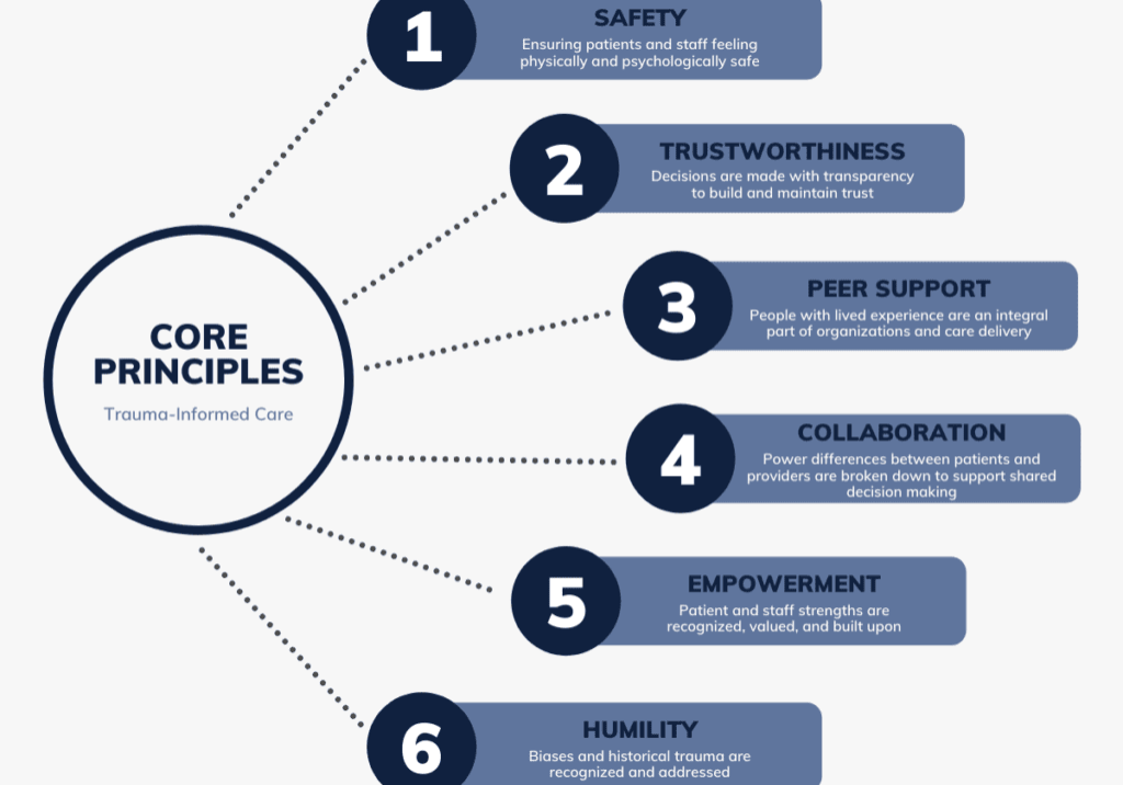 Understanding trauma and the six core principles illustrated